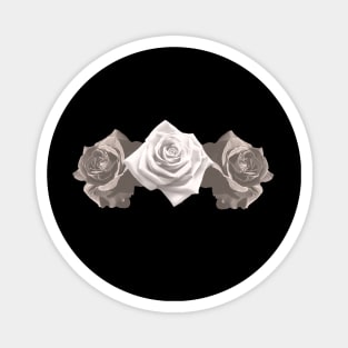 Three Grey Roses Magnet
